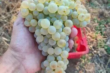 Hotelli Agriturismo Colle Vento
