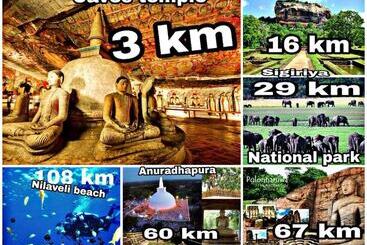 Pensione Takeshi Inn