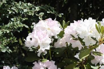 Pensionat Calme Et Nature Bassin D Arcachon
