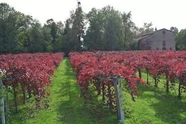 Hotel Alloggio Cantalupo