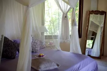 ホテル Gaia Oasis Beach Resort