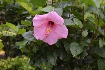 Retkeilymaja Hostal Lopez El Valle Cabañas