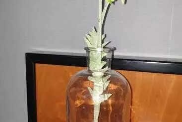 ホテル Sonnenschein