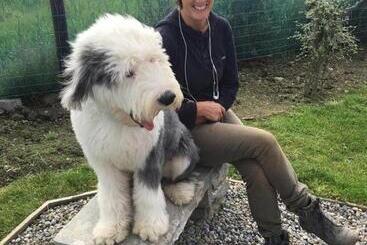 Nocleg ze śniadaniem Sheedy's Doolin