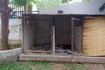 Herberge Ruby   Casa De Hospedes   Backpackers