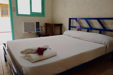 Black Sheep International Hostel