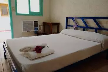 Black Sheep International Hostel