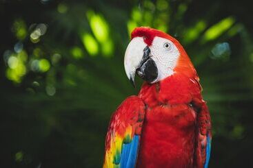 Bed and Breakfast Casa Milanina