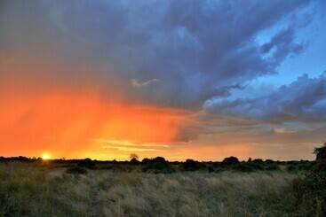 هتل Jackalberry Chobe