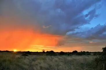 Hotel Jackalberry Chobe