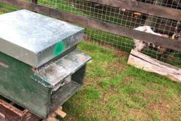 Aamiaismajoitus (B&B) Ai 4 Soli