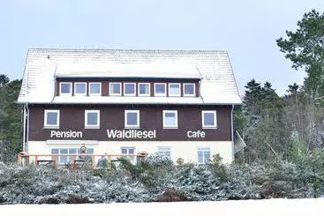 Pension Waldliesel