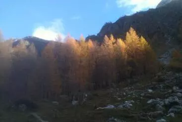 Pensjonat Zwargji