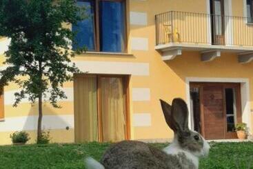 Отель Agriturismo Fior Di Campo