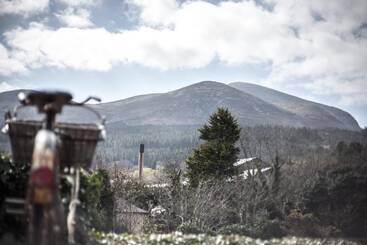 پانسیون The Haven