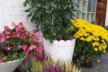 Pensão Haus Bernhardt Fromm