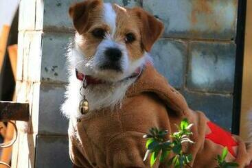 Panzió 58 Inn Lijiang