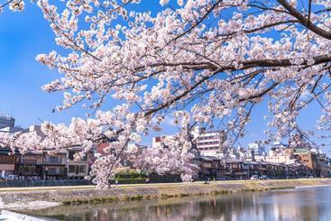 캡슐 호텔 Comics & Capsule Comicap Kyoto