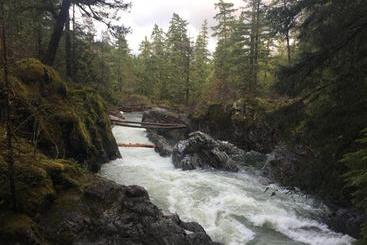 پانسیون Ashling Cottage