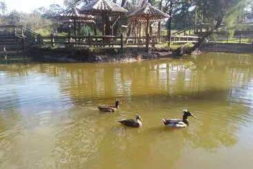 ペンション Pousada Recanto Dos Cisnes