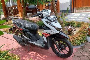 پانسیون Whiterose Guesthouse