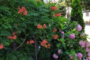 פנסיון Guest House Pansion 10