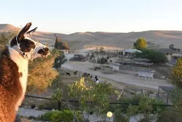 ホテル Alpaca Farm   חוות האלפקות