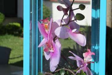 Отель Blue Lagoon Lodge Blantyre