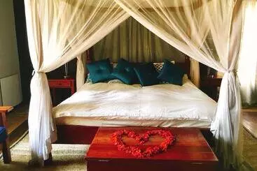 هتل Wild Geese Lodge