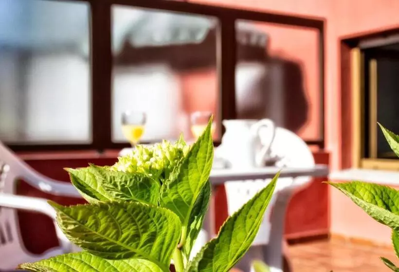 Hotel Alojamiento Covadonga