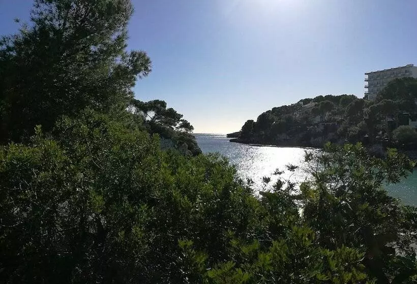 فندق Cabot Cala Ferrera - Adults Only +16