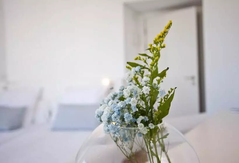 Hotel Galaxia Boutique