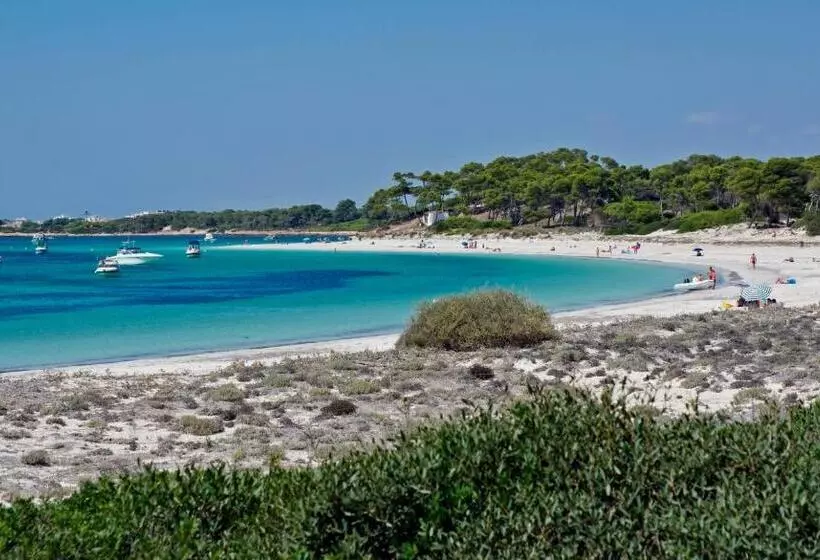 酒店 Isla de Cabrera