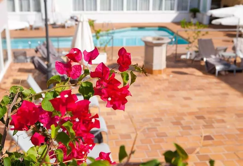 Palma Beach Affiliated by Fergus - Adults Only