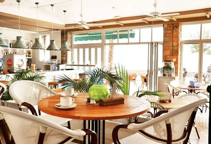 Palma Beach Affiliated by Fergus - Adults Only