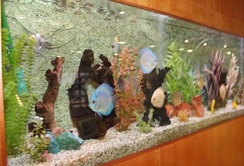 Отель Montemar Maritim