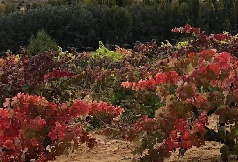 בית מלון כפרי Señorio De Velez
