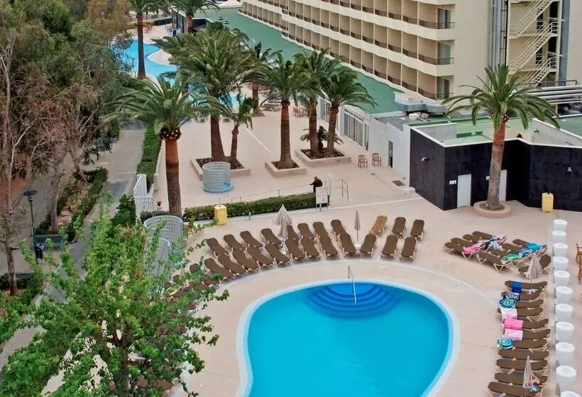 호텔 Sol Palmanova Mallorca