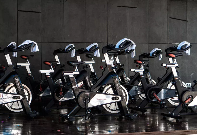 호텔 Sol Palmanova Mallorca