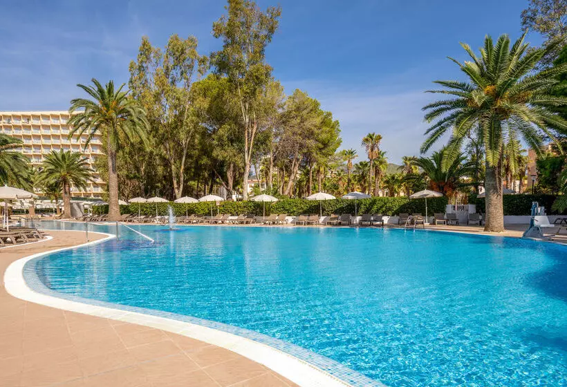 호텔 Sol Palmanova Mallorca