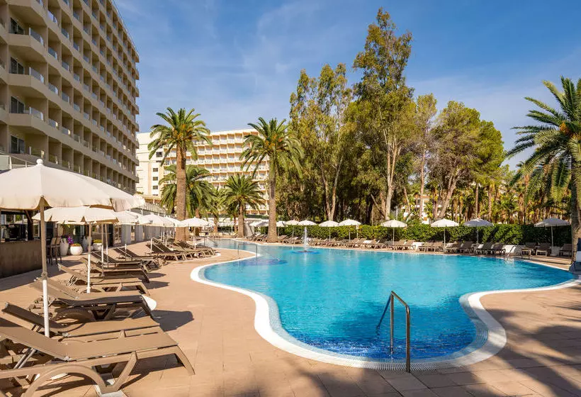 호텔 Sol Palmanova Mallorca