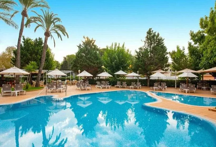 هتل Valentin Reina Paguera - Adults Only