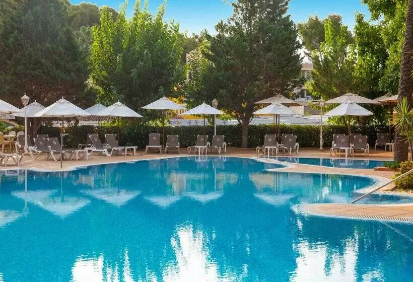 هتل Valentin Reina Paguera - Adults Only