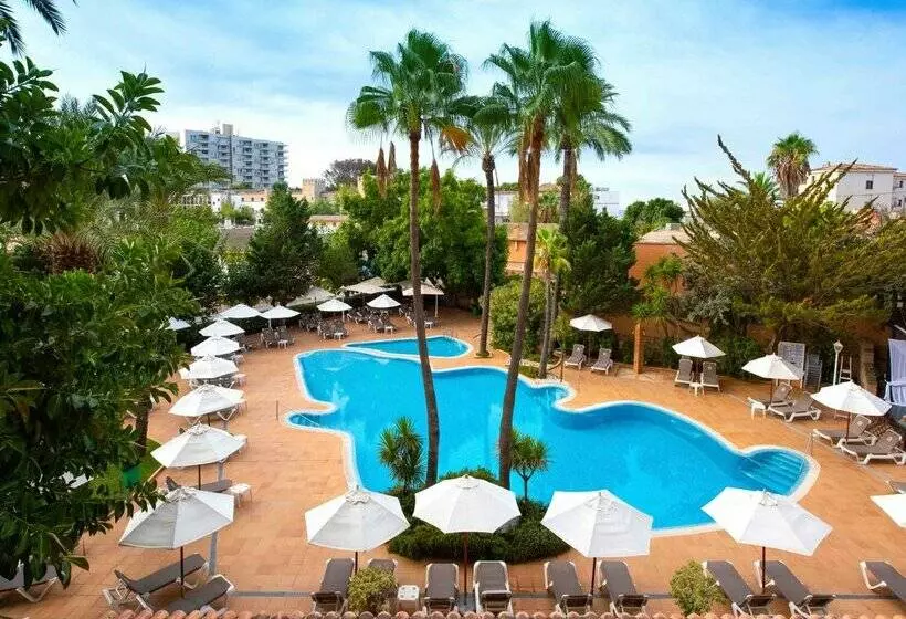 هتل Valentin Reina Paguera - Adults Only