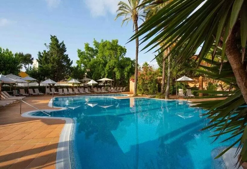 هتل Valentin Reina Paguera - Adults Only
