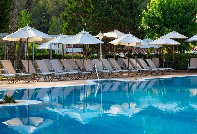 هتل Valentin Reina Paguera - Adults Only