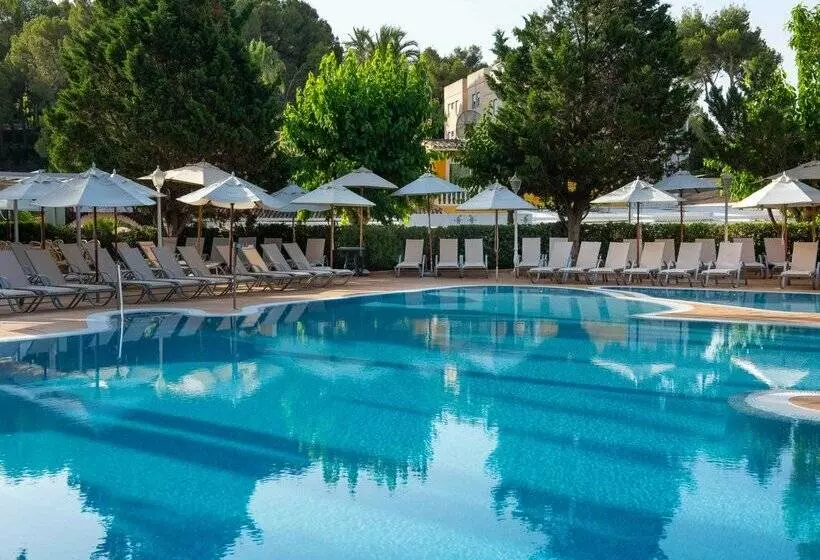 هتل Valentin Reina Paguera - Adults Only