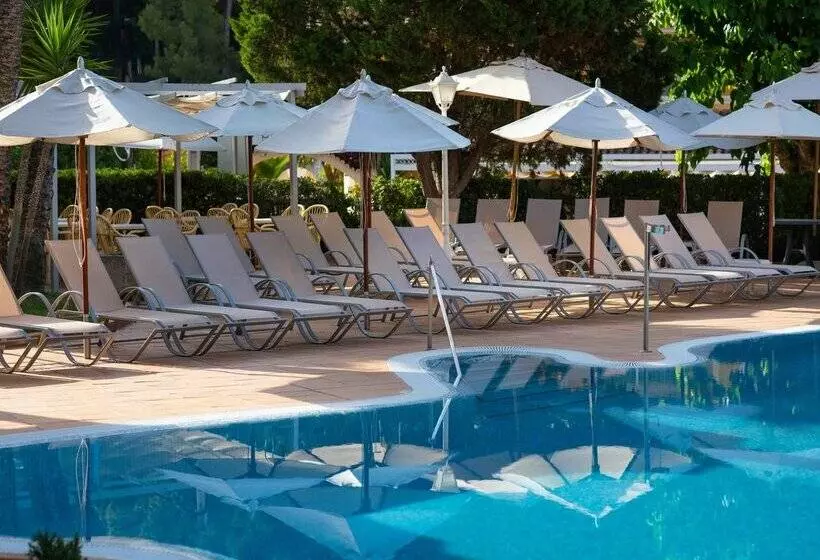 هتل Valentin Reina Paguera - Adults Only