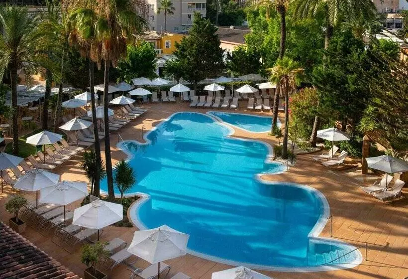 هتل Valentin Reina Paguera - Adults Only