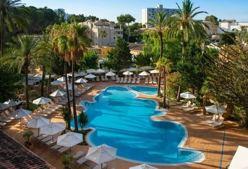 هتل Valentin Reina Paguera - Adults Only